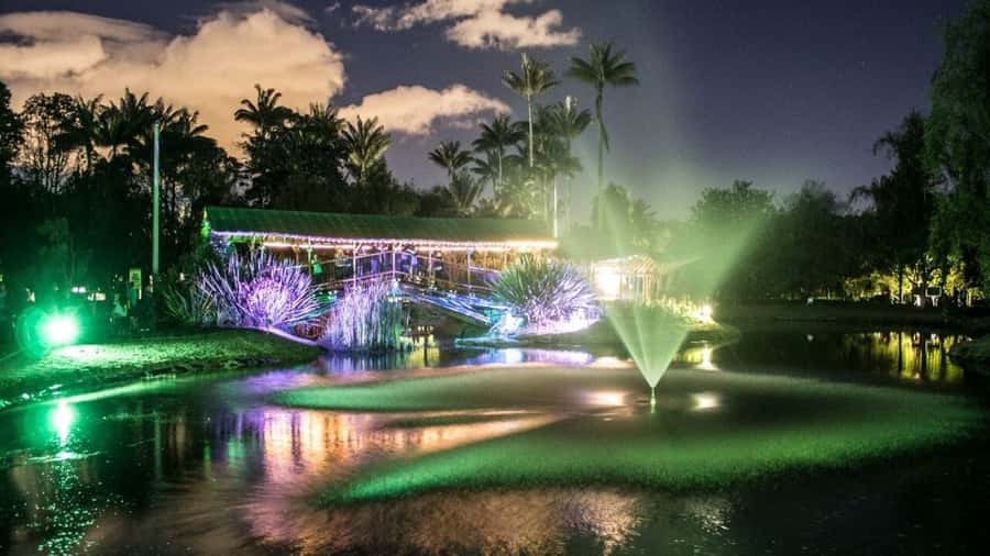 Walking tour José Celestino Mutis Botanical Garden 3 hrs - The two-hour guided walk through the garden