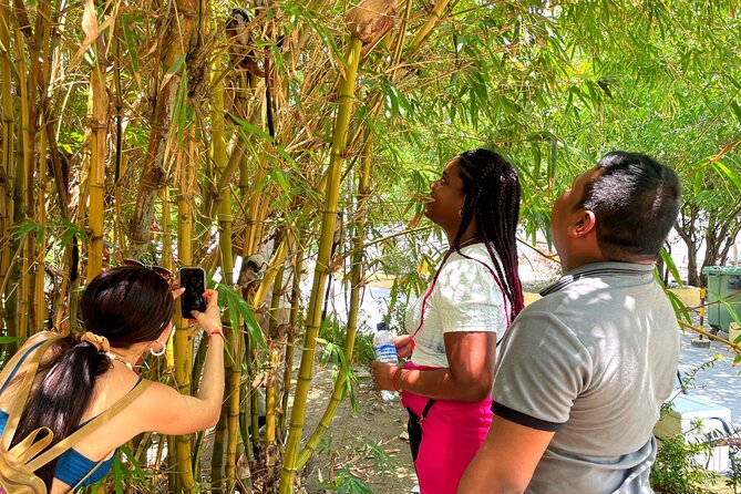 Walking tour of the magical city of Cartagena. - Plaza de Santo Domingo and the Clock Tower
