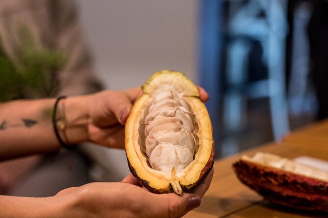 Weaving Peace: Taste and understand what is happening in Colombia - La Casa de la Paz and La Trocha’s former FARC connection