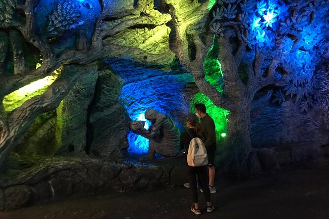 Zipaquirá Salt Cathedral Tour – Meals & Tickets with Local Guide - The ride back to Bogotá and the tour extras
